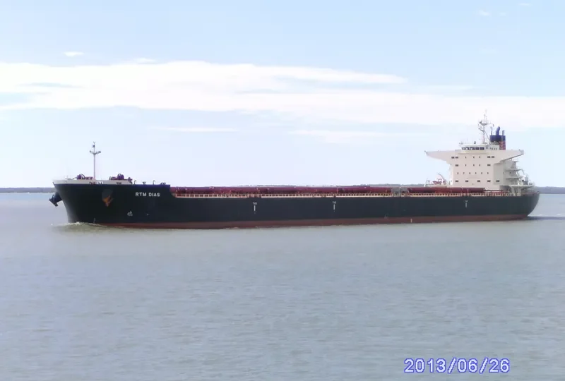 RTM DIAS Bulk Carrier IMO 9629720