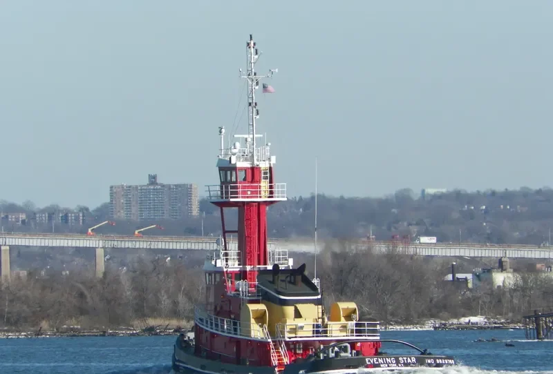 EVENING STAR General Cargo IMO 9629768 photo 4