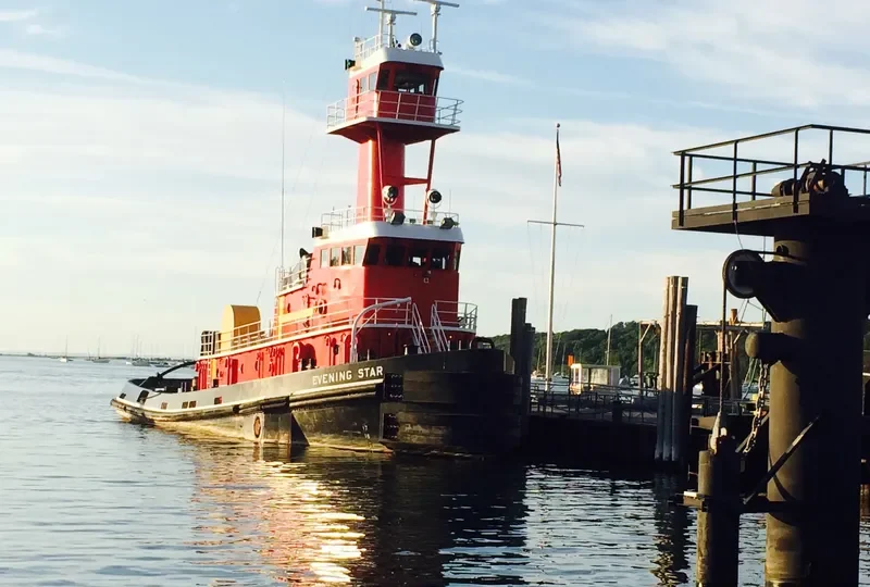 EVENING STAR General Cargo IMO 9629768 photo 6