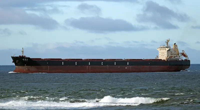 XIN QI XIANG 217 Bulk Carrier IMO 9629811