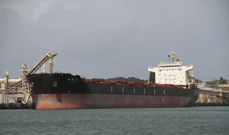 XIN QI XIANG 217 Bulk Carrier IMO 9629811 photo 2
