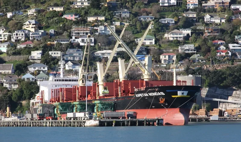 KAPETAN NONDAS Bulk Carrier IMO 9629823 photo 6