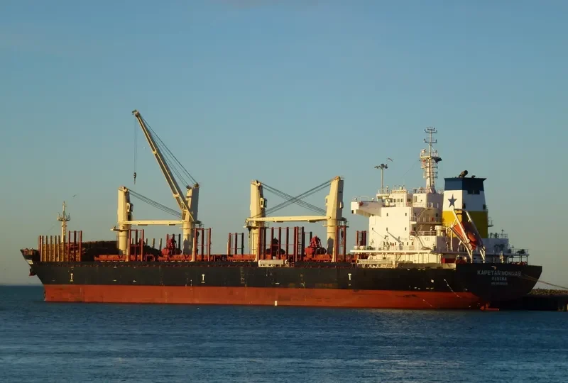 KAPETAN NONDAS Bulk Carrier IMO 9629823 photo 7