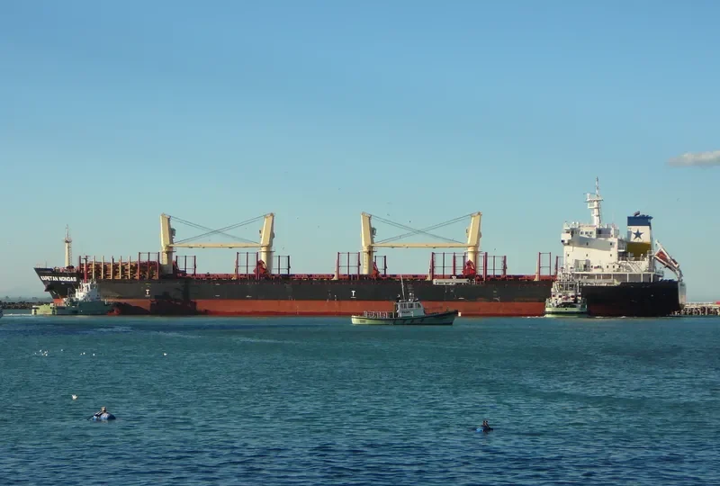 KAPETAN NONDAS Bulk Carrier IMO 9629823 photo 8