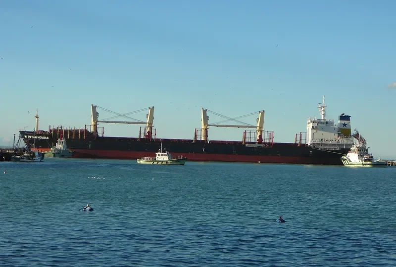 KAPETAN NONDAS Bulk Carrier IMO 9629823 photo 9