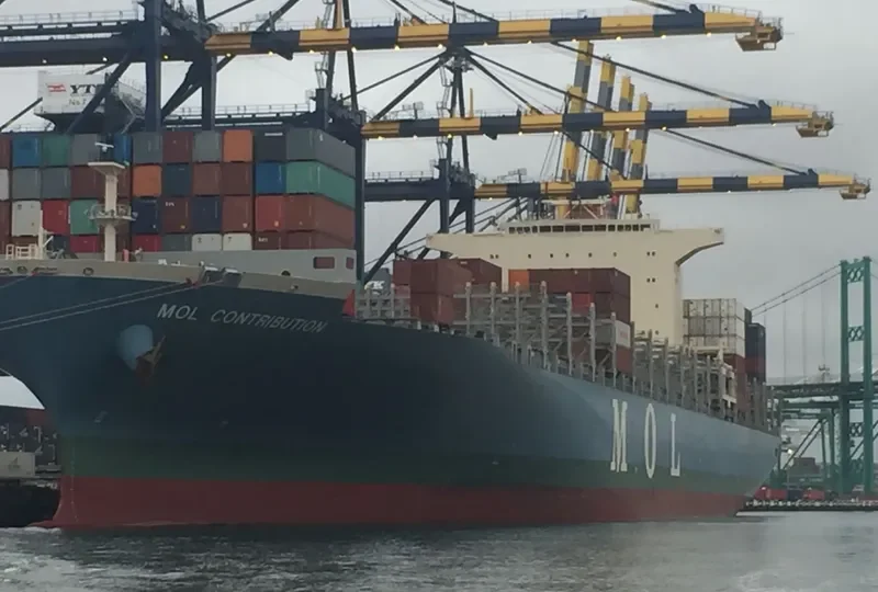ONE CONTRIBUTION Container Ship IMO 9629914 photo 3