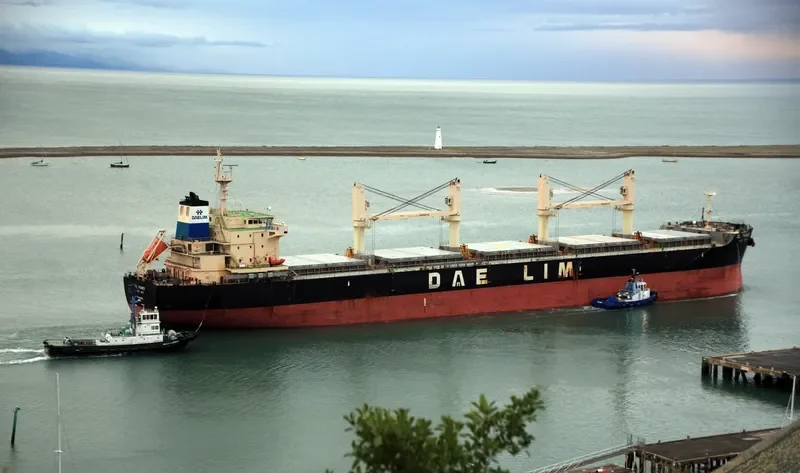 DL PANSY Bulk Carrier IMO 9629976