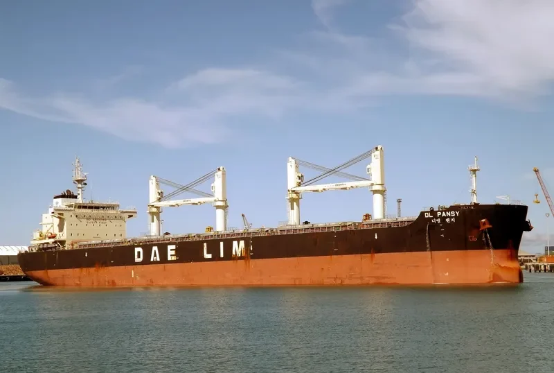DL PANSY Bulk Carrier IMO 9629976 photo 2