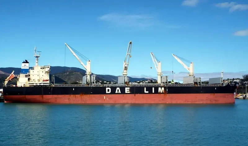 DL PANSY Bulk Carrier IMO 9629976 photo 3