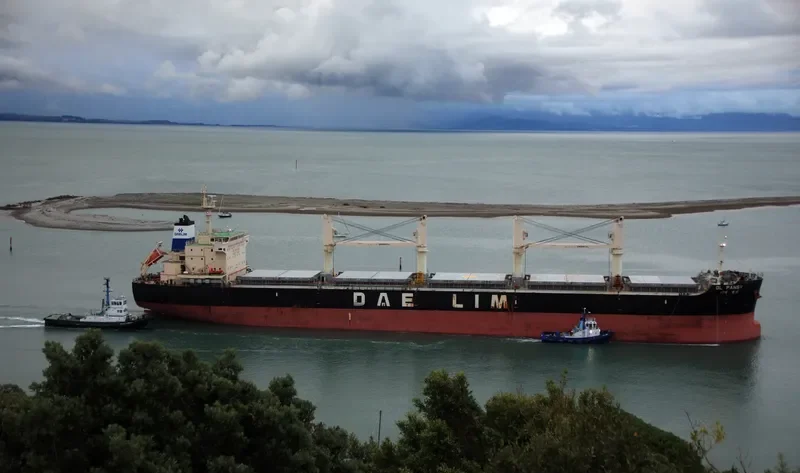 DL PANSY Bulk Carrier IMO 9629976 photo 4