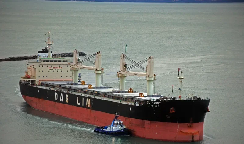 DL PANSY Bulk Carrier IMO 9629976 photo 5