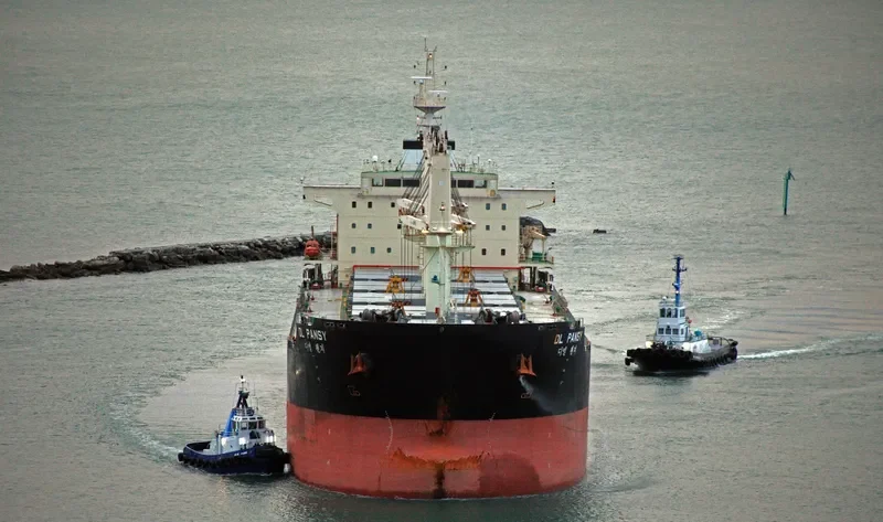 DL PANSY Bulk Carrier IMO 9629976 photo 6