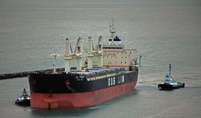 DL PANSY Bulk Carrier IMO 9629976 photo 7