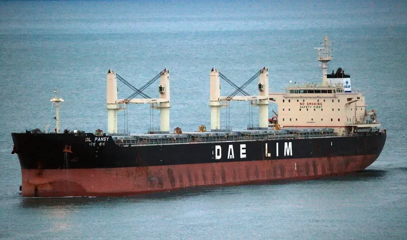 DL PANSY Bulk Carrier IMO 9629976 photo 8
