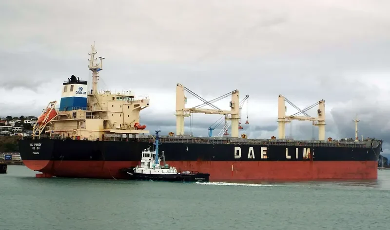 DL PANSY Bulk Carrier IMO 9629976 photo 9