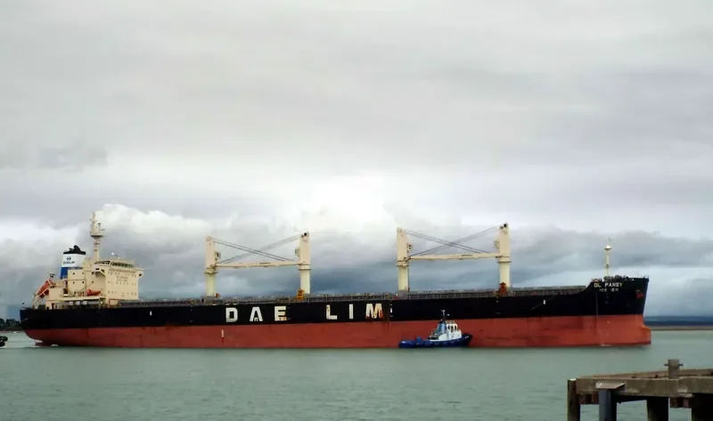 DL PANSY Bulk Carrier IMO 9629976 photo 10