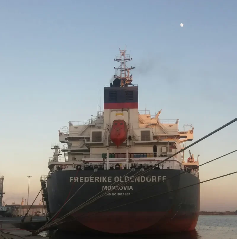 FREDERIKE OLDENDORFF Bulk Carrier IMO 9629988