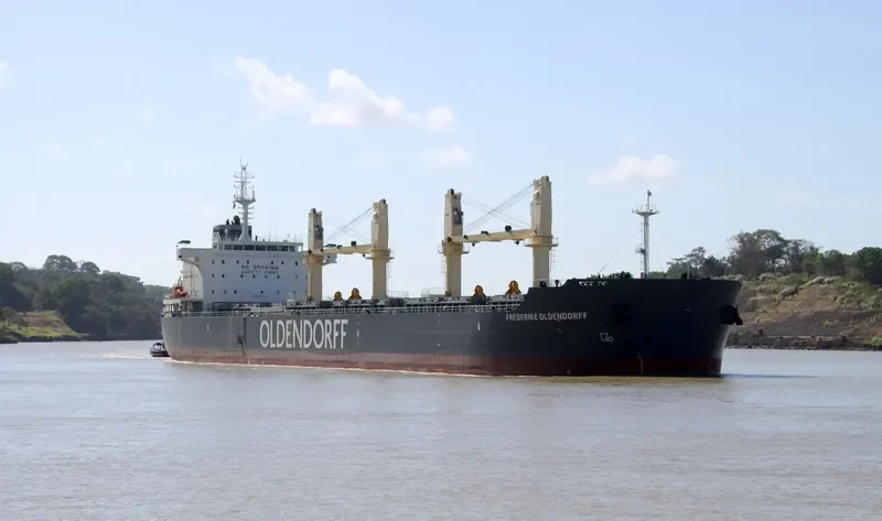 FREDERIKE OLDENDORFF Bulk Carrier IMO 9629988 photo 5
