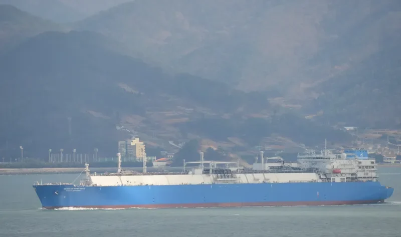VELIKIY NOVGOROD General Cargo IMO 9630004 photo 8