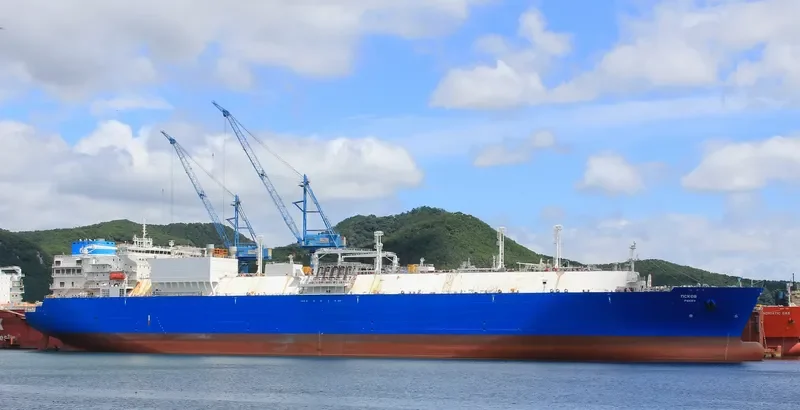 PSKOV General Cargo IMO 9630028 photo 6