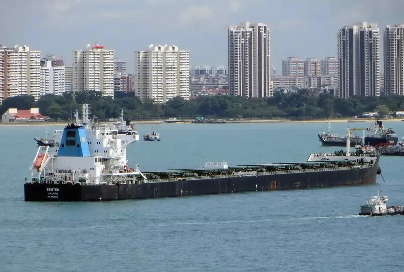 W ARCTURUS Bulk Carrier IMO 9630248