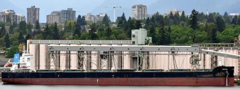 W ARCTURUS Bulk Carrier IMO 9630248 photo 3