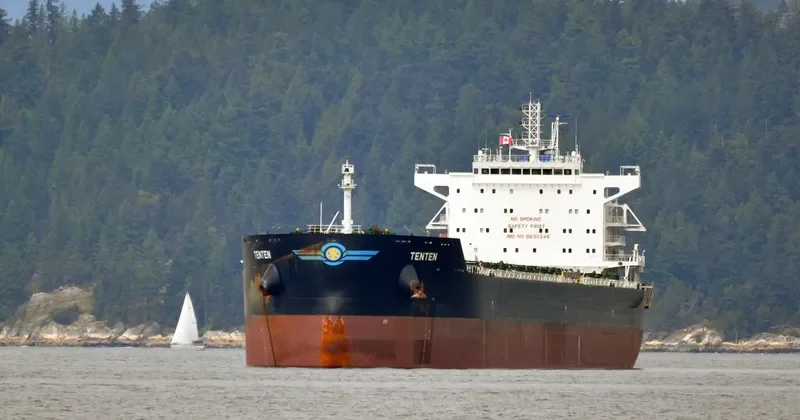 W ARCTURUS Bulk Carrier IMO 9630248 photo 4