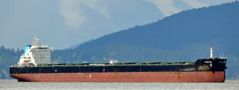 W ARCTURUS Bulk Carrier IMO 9630248 photo 5