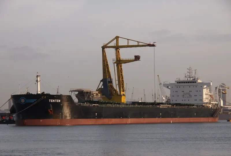W ARCTURUS Bulk Carrier IMO 9630248 photo 7