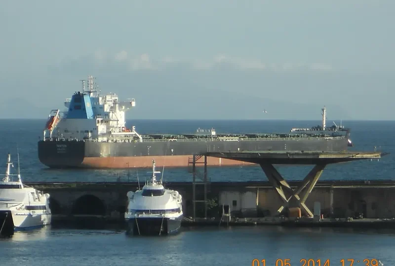 W ARCTURUS Bulk Carrier IMO 9630248 photo 8