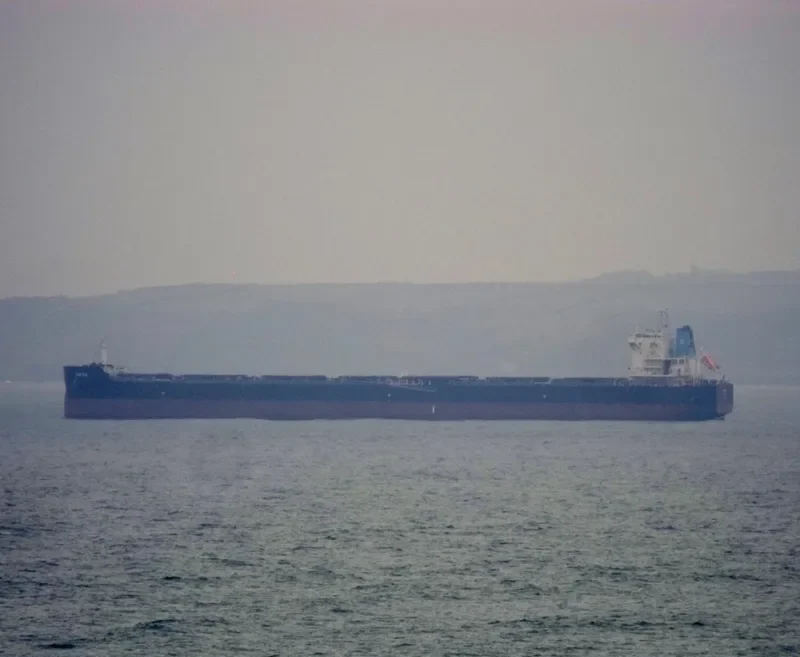 W ARCTURUS Bulk Carrier IMO 9630248 photo 9