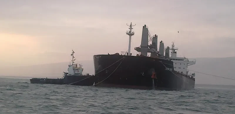 LINDSAYLOU Bulk Carrier IMO 9630729 photo 2