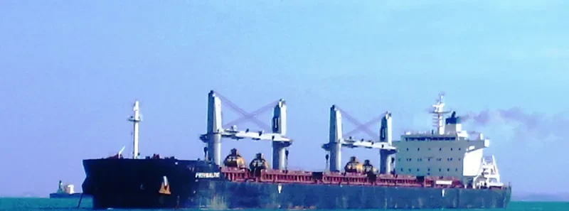 KOSMAN Bulk Carrier IMO 9630731 photo 7