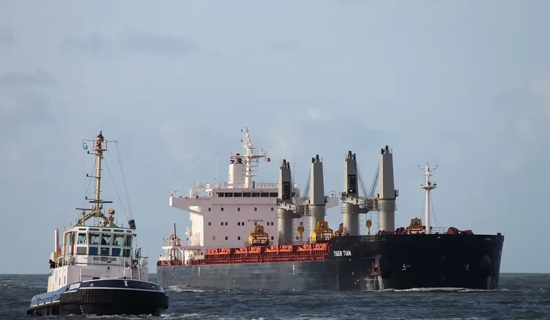 KOSMAN Bulk Carrier IMO 9630731 photo 9