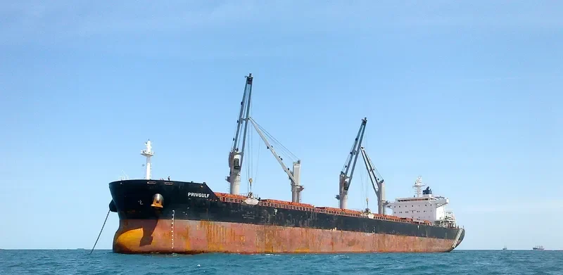 ALIS Bulk Carrier IMO 9630743 photo 3