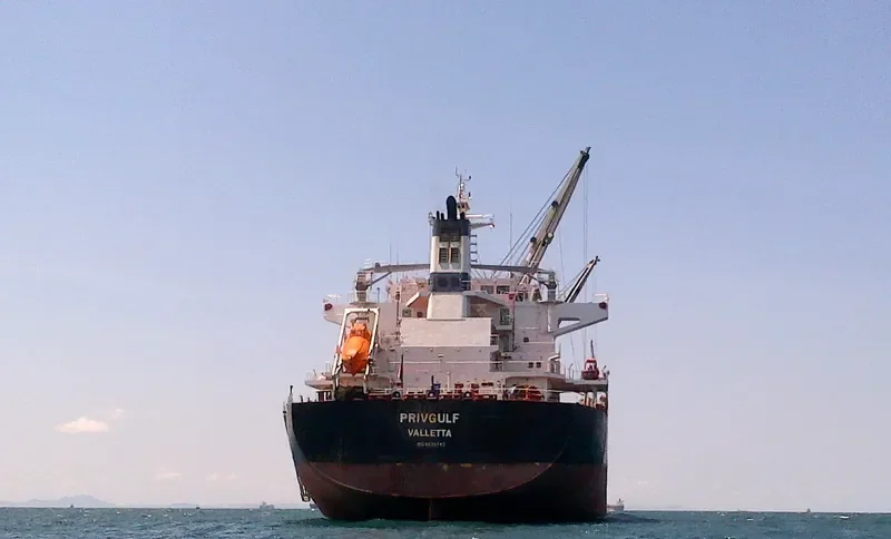 ALIS Bulk Carrier IMO 9630743 photo 5