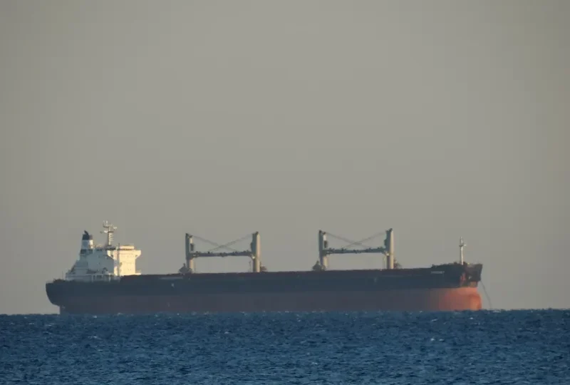 ALIS Bulk Carrier IMO 9630743 photo 6