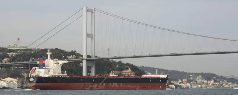 EXCEL Bulk Carrier IMO 9630793 photo 3