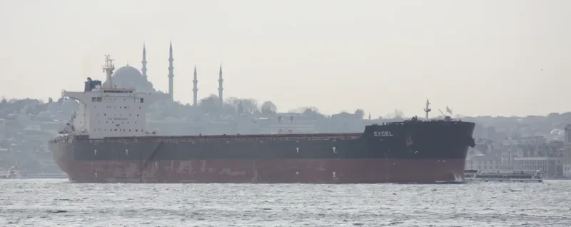 EXCEL Bulk Carrier IMO 9630793 photo 6
