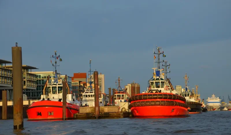 SD DOLPHIN General Cargo IMO 9631034 photo 6