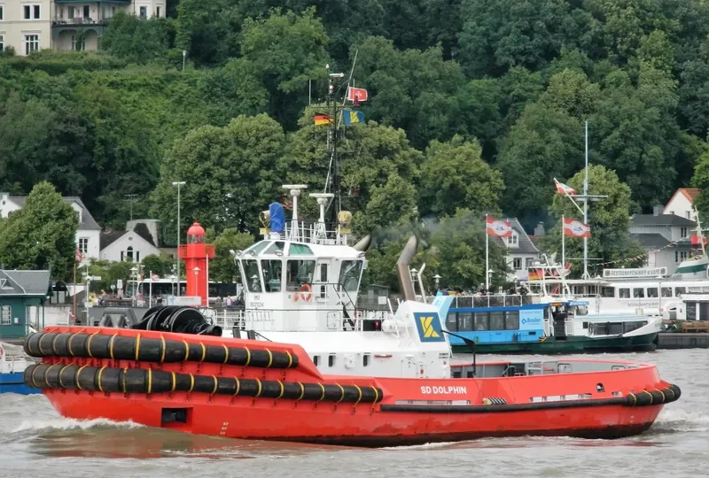 SD DOLPHIN General Cargo IMO 9631034 photo 10