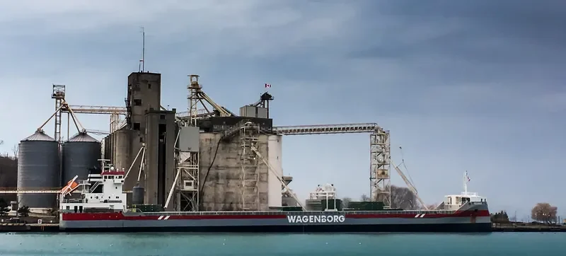 VOLGABORG Container Ship IMO 9631072 photo 2