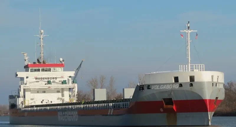 VOLGABORG Container Ship IMO 9631072 photo 5