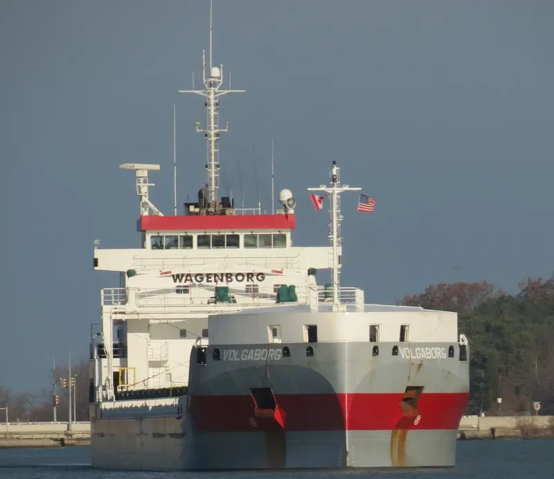 VOLGABORG Container Ship IMO 9631072 photo 6