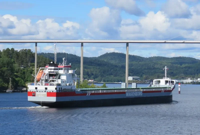 VOLGABORG Container Ship IMO 9631072 photo 10