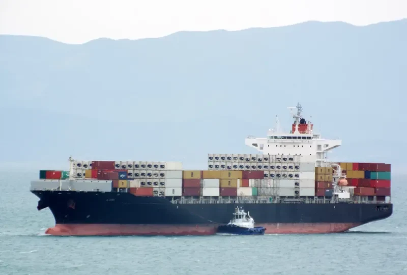 LORI Container Ship IMO 9631125 photo 10