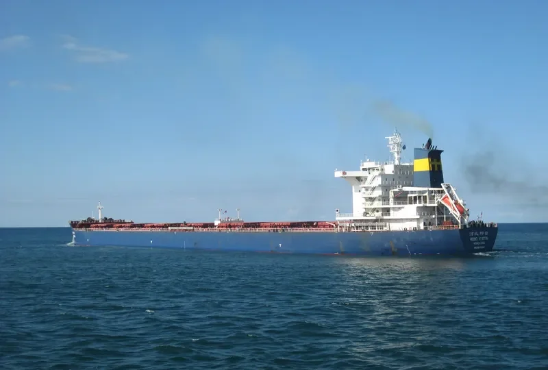 OCEAN ALIGNMENT Bulk Carrier IMO 9631254