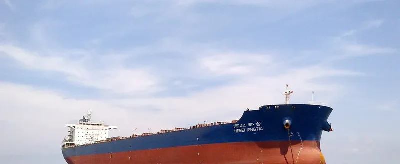 OCEAN ALIGNMENT Bulk Carrier IMO 9631254 photo 3