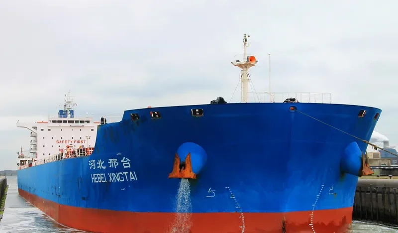 OCEAN ALIGNMENT Bulk Carrier IMO 9631254 photo 7