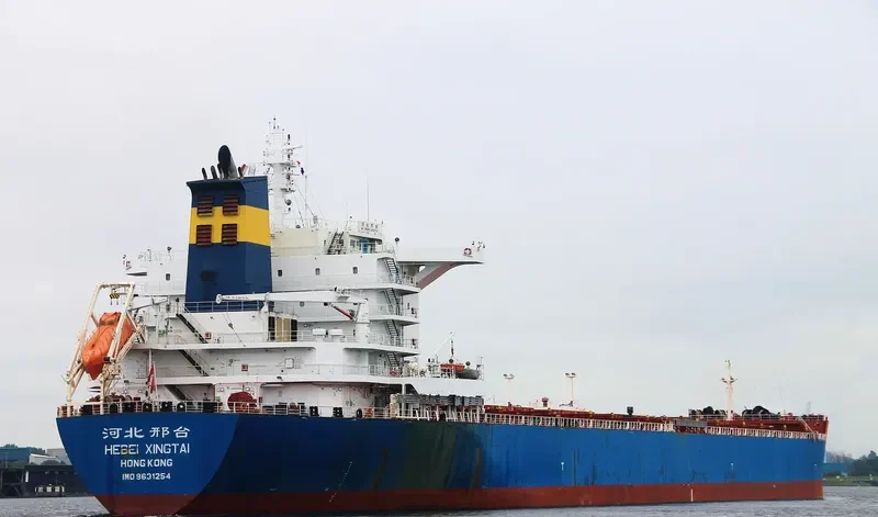 OCEAN ALIGNMENT Bulk Carrier IMO 9631254 photo 8